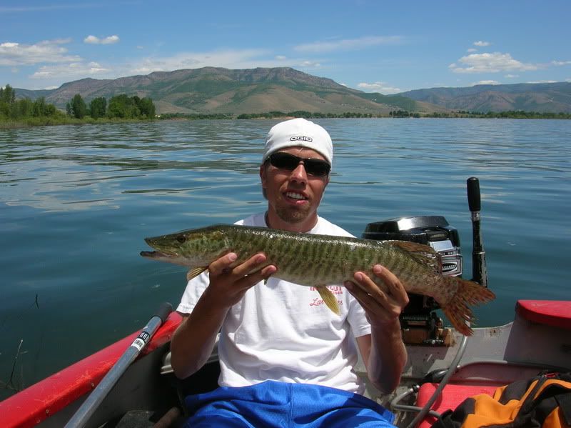 Photo Sharing and Video Hosting at Photobucket