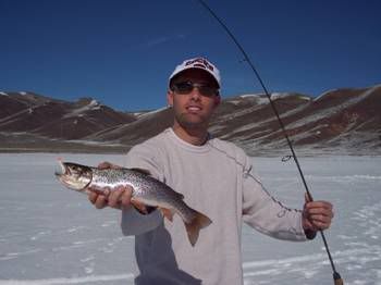 Photo Sharing and Video Hosting at Photobucket