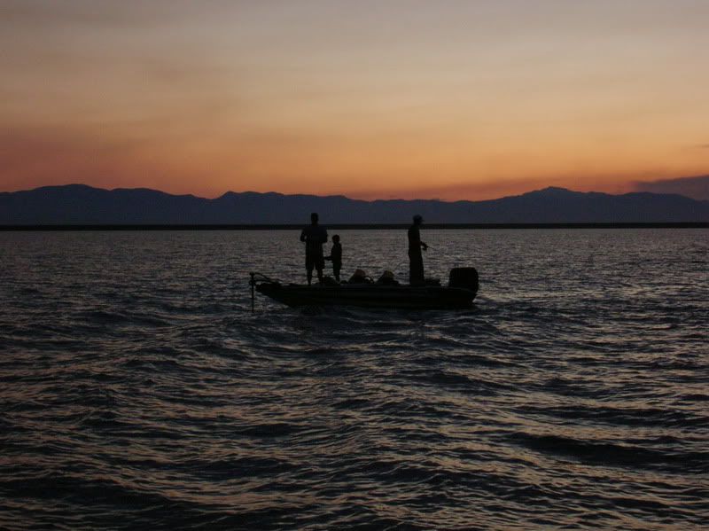 Photo Sharing and Video Hosting at Photobucket