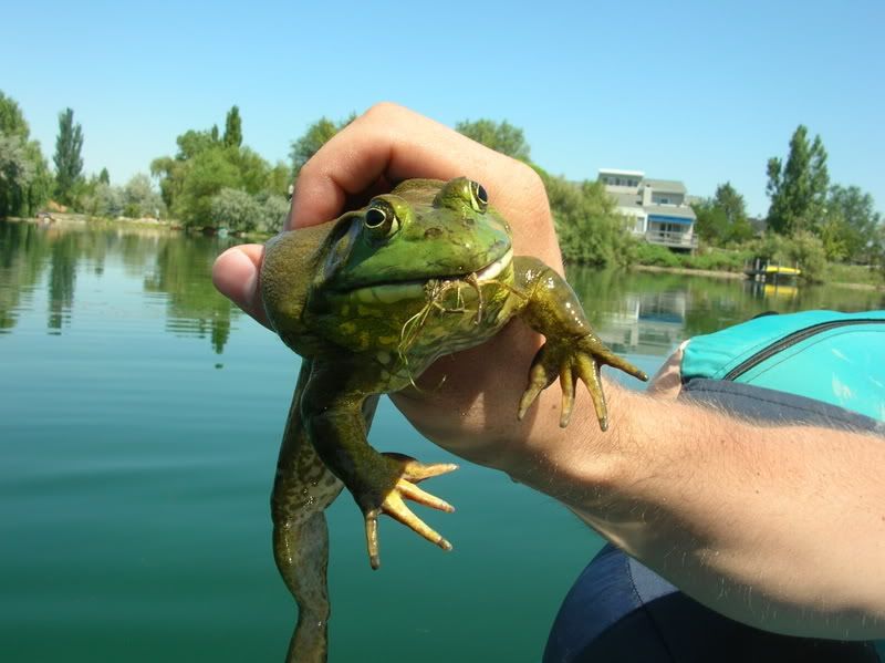 Photo Sharing and Video Hosting at Photobucket