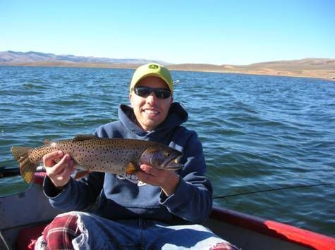 Photo Sharing and Video Hosting at Photobucket