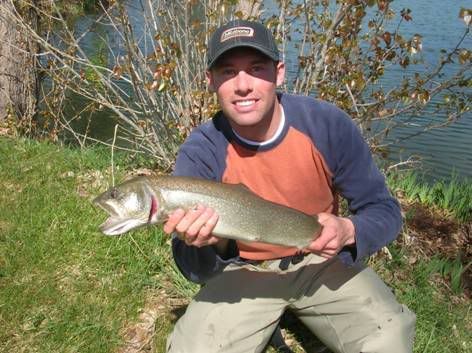 Photo Sharing and Video Hosting at Photobucket