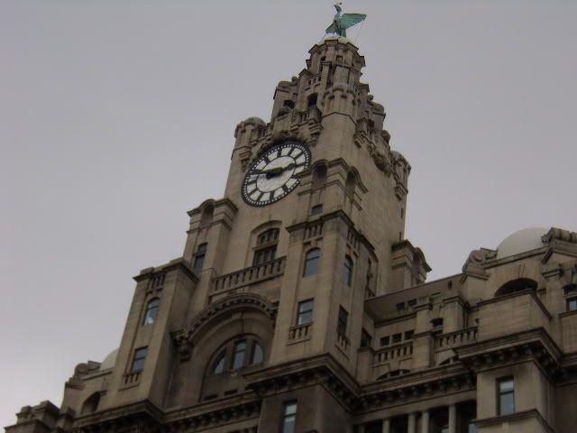 PC190615.jpg
