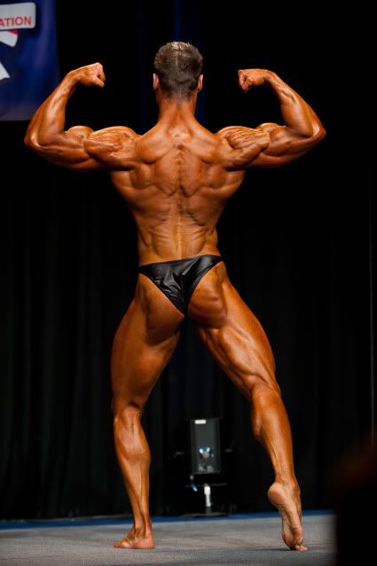 Best Wheels David Kaye
