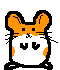 Hamster.gif