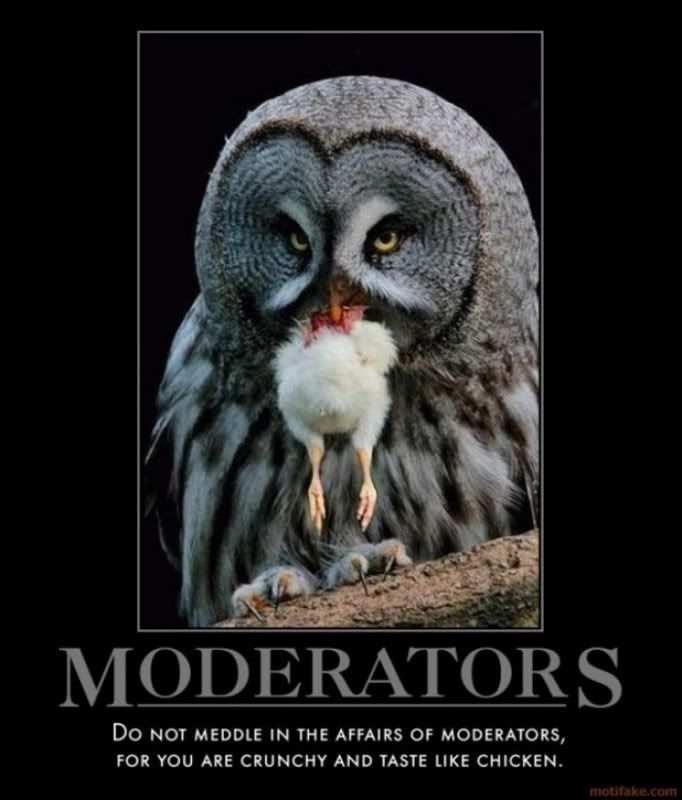 78321_moderators-does-ripped-off-and-paraphrased-count-demotivational-poster-1256402212_123_772lo.jpg