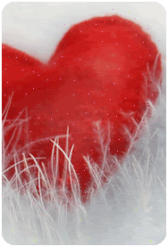 080220171833016.gif