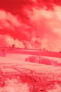 ir1-1.jpg