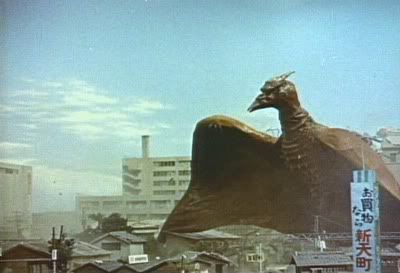 rodan7.jpg