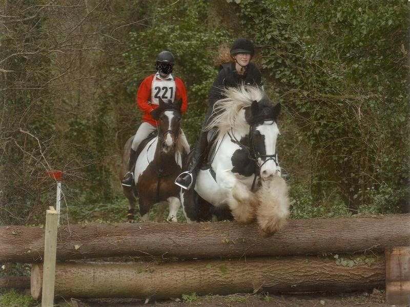 Cob Horse Jumping