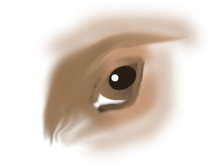 horseseye.png