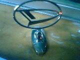 IMG0122A.jpg