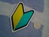 IMG0273A.jpg
