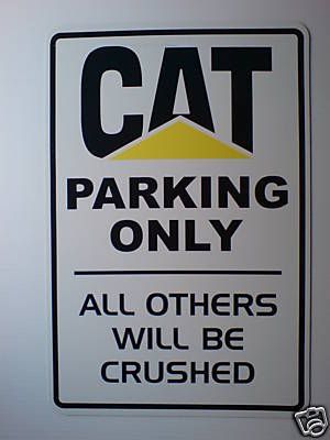 catparking.jpg