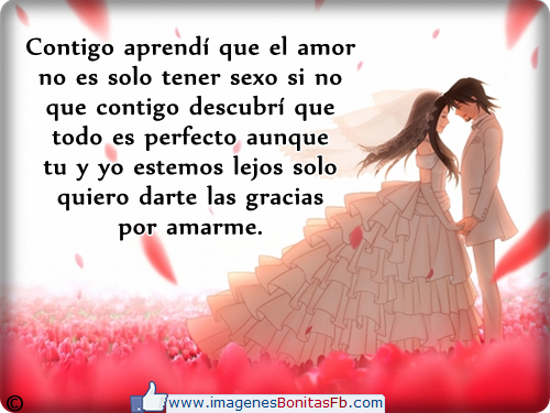  photo frases-bonitas-d-eamor-para-facebook_zps4f29e9d9.png