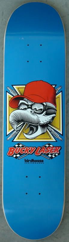 Birdhouse Bucky Lasek Skull Series