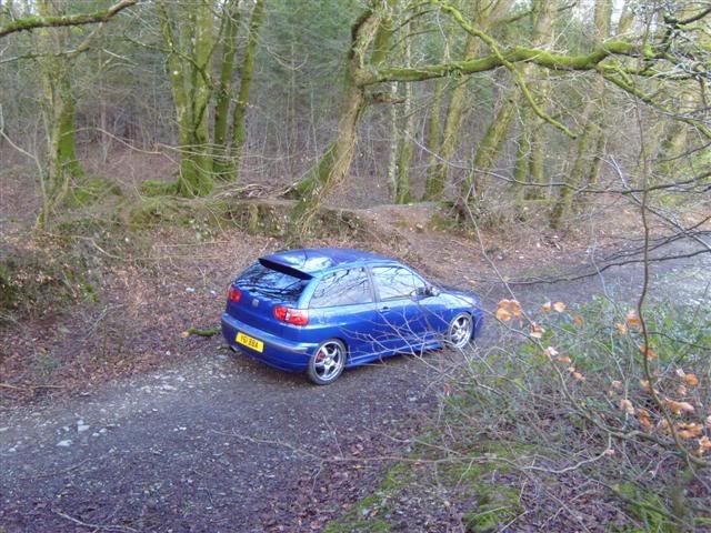 car012.jpg