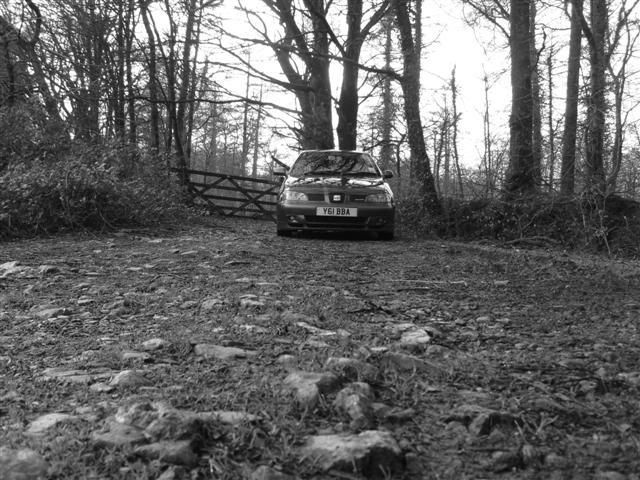 car015-1.jpg