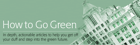 Treehugger.com shows you how to go green!!!!!! | Greenhornnews's Blog