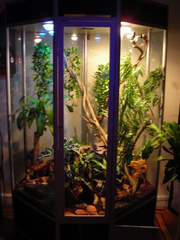 Terrarium or Vivarium Owners?